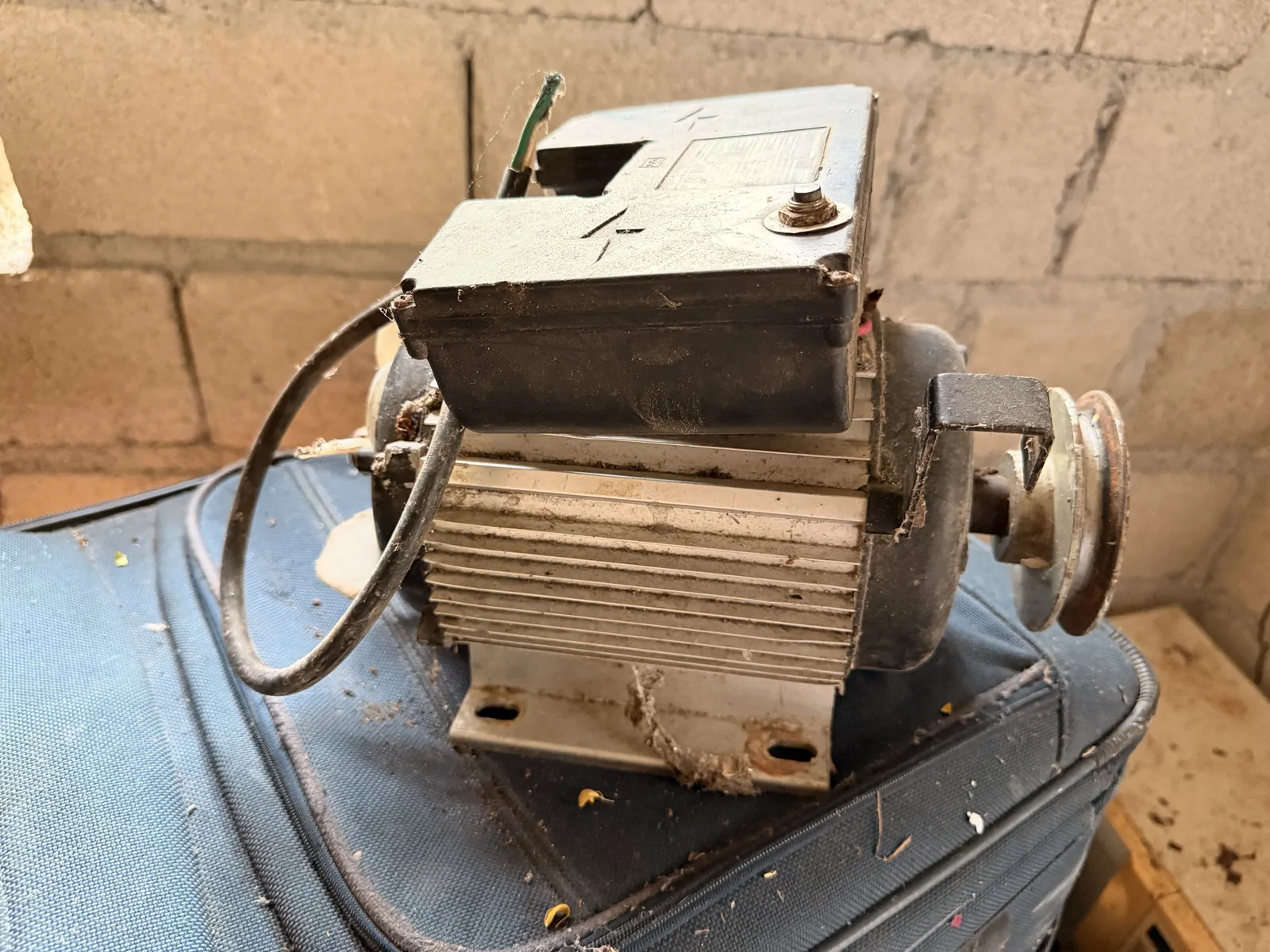 Moteur électrique avec poulie, double gorge – Occasion, fonctionnel – Image 4