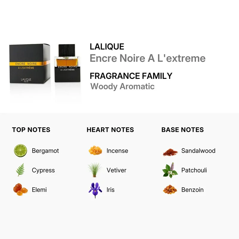 NCRE NOIRE À L'EXTRÊME – Image 4